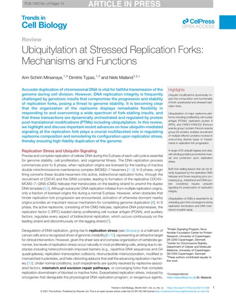 PDF Ubiquitylation At Stressed Replication Forks Mechanisms And