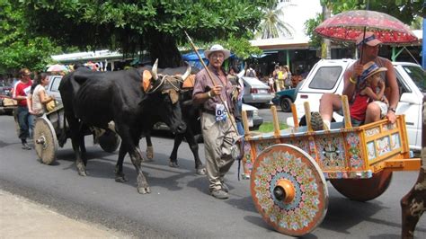 Things to Do in July in Costa Rica | Special Places