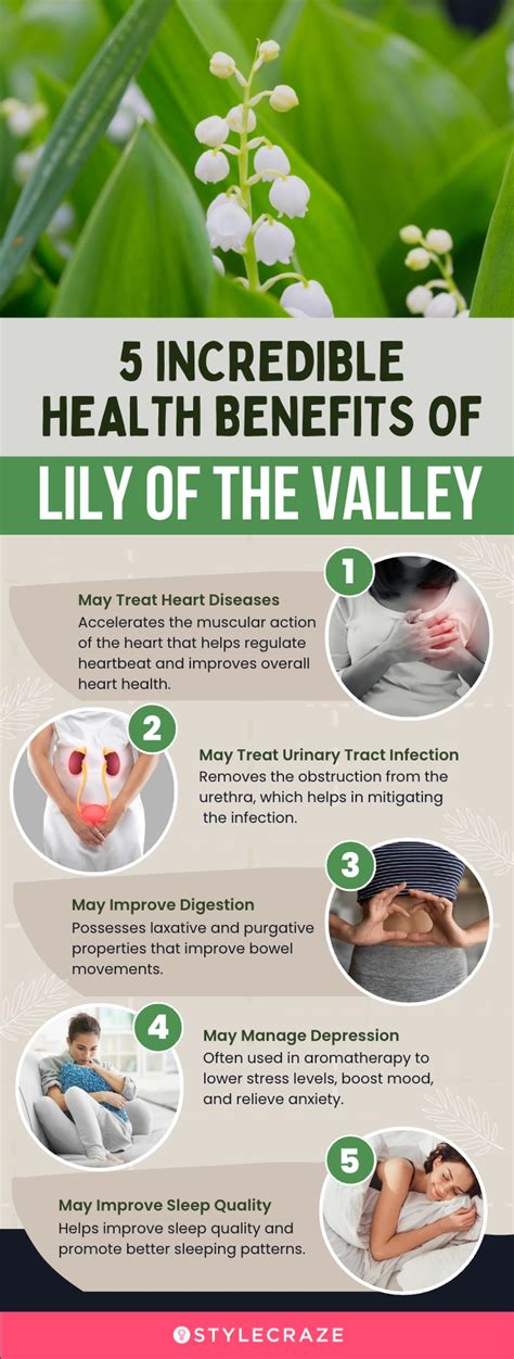 10 Amazing Health Benefits Of Lily Of The Valley