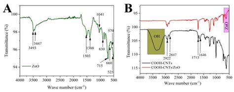 Bioengineering Free Full Text Green Production And Interaction Of