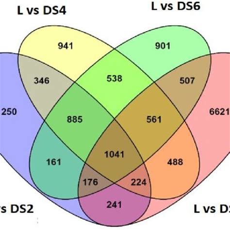 Venn Diagram Showing The Differentially Expressed Genes Degs For The Download Scientific