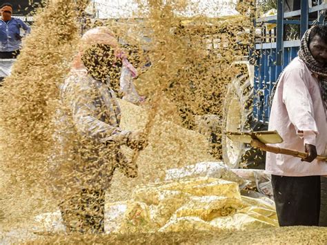 Centre Further Tightens Rice Shipments In Threat To Global Supply