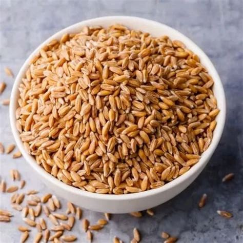 Golden Wheat Grain Seed At Rs 2800 Quintal In Mainpuri ID 2853117263691