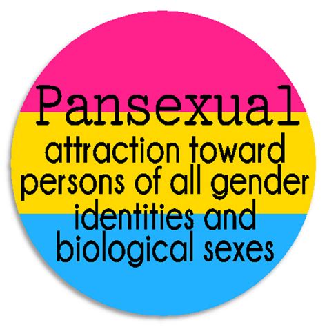 Pansexual Definition 10 Pack Circle Stickers 3 Inch Lgbtq Pride