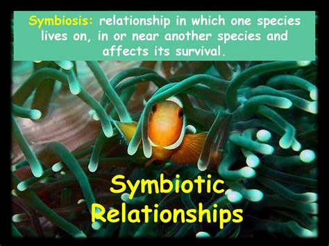 Symbiotic Relationships Ppt Download