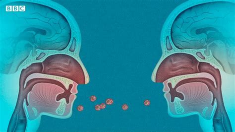 Coronavirus Por Qu El Covid Es Tan Infeccioso Bbc News Mundo