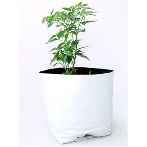 Buy Plastic Nursery Bag White Pack Of Greens Of Kerala