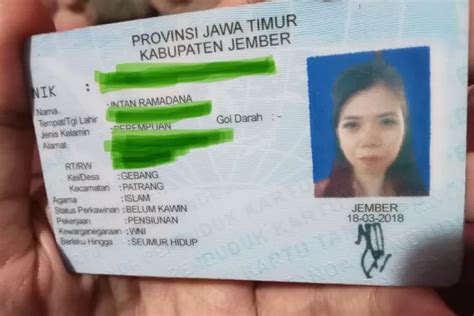 Marak Beredar Ktp Palsu Ini Cara Mudah Cek Keaslian Ktp Secara Mandiri