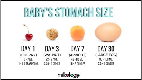 Breastfeeding Infographics You Should See Milkology