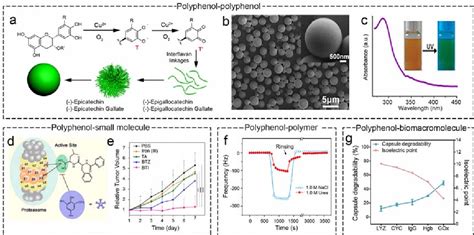 Pdf Polyphenol Mediated Assembly For Particle Engineering Semantic