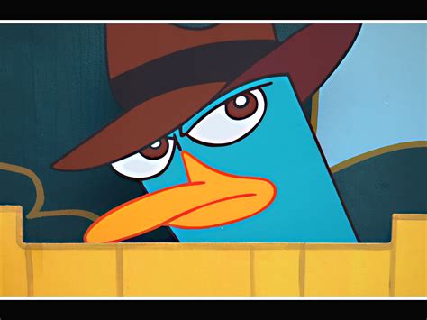 Perry The Platypus Agent P Wallpaper