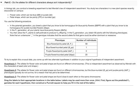 Drag The Labels To Their Appropriate Locations In The Figure