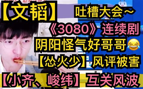 【文韬】《3080》连续剧，“阴阳怪气”人传人【刘小怂、火树、帮主】风评被害，【齐思钧，周峻纬】狗礼物互关风波20201202 哔哩哔哩