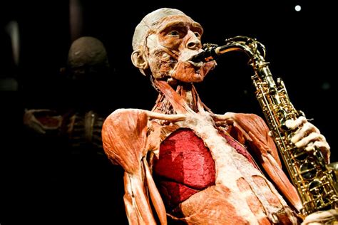 Visit The Body Worlds Museum With A Ticket To The Happiness Project