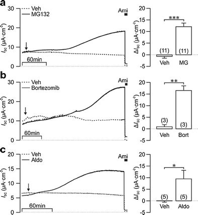 Proteasomal Inhibitors Stimulate Enac Mediated Isc In A Similar Manner