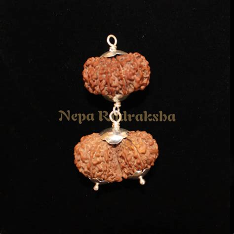 Rudraksha According To Your Rashi Zodiac Sign