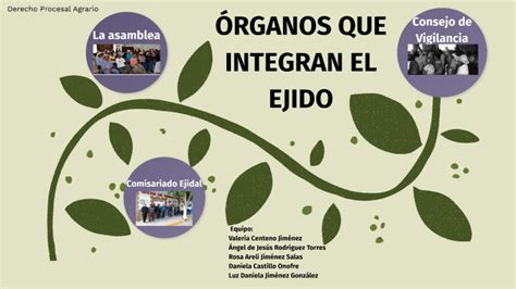 ÓRGANOS DEL EJIDO by Luz Daniela JG on Prezi