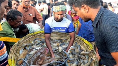 পদ্মার বড় বড় সাইজের চিংড়ি মাছের কতটা চাহিদা দেখুন Prawn Fish Dn