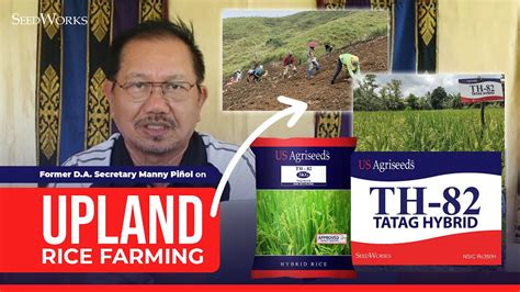 Former D A Secretary Manny Piñol On Upland Rice Farming Using The Th