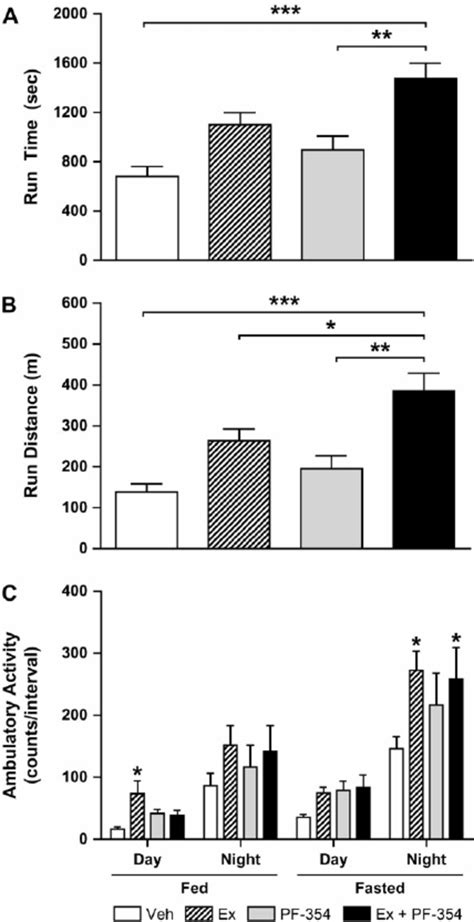 Myostatin Inhibition Increases Muscle Weight In Aged Mice Body Weight