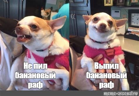 Сomics meme: "Не пил банановый раф Выпил банановый раф" - Comics - Meme ...