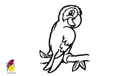 How To Draw A Parrot Step By Step - ClipArt Best