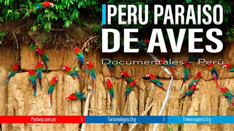 El Mejor Documental Peru Paraiso De Aves Machu Picchu Per Vip