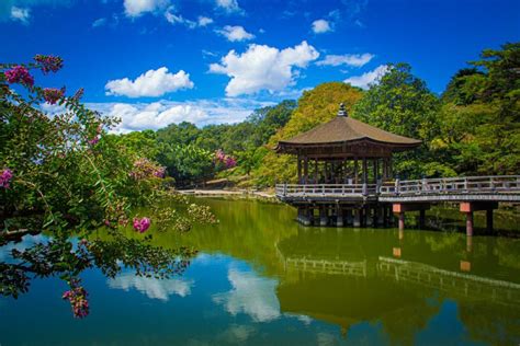 Day Trip Itinerary In Nara Japan