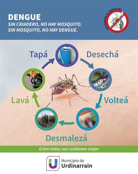 Sigamos Trabajando En Acciones Para Prevenir Criaderos De Mosquitos Del