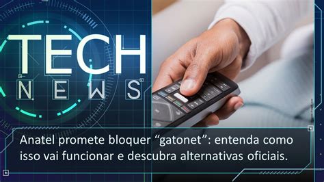 Tech News Entenda A Pol Mica Do Chamado Gatonet E Porque A Anatel