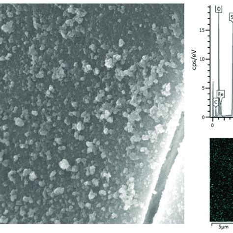 Sem Image Magnification Eds Spectrum And Eds Map Fe Cyan Of