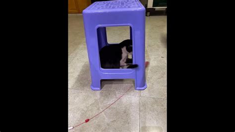 Journey To The Under World Under The Chair 🪑 🤣🤣🤣😻😻😻 Youtube