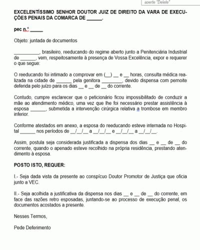 Modelo de Petição Pedido Juntada de Documentos Comprovação de Consulta