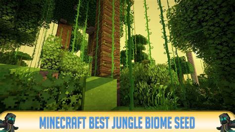 Minecraft Jungle Biome Minecraft Tutorial Guide