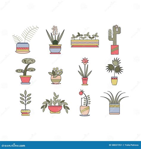 Set Of Linear Botanical Icons Stock Vector Illustration Of Leaf