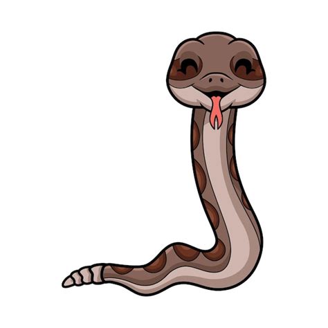 Cute Dibujos Animados De Serpiente De Cascabel Sobre Fondo Blanco