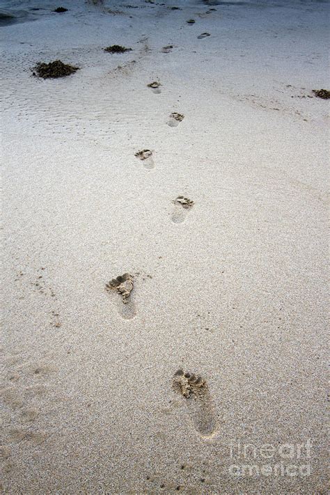 Baby Footprints In The Sand Photograph By Dustin K Ryan Fine Art America