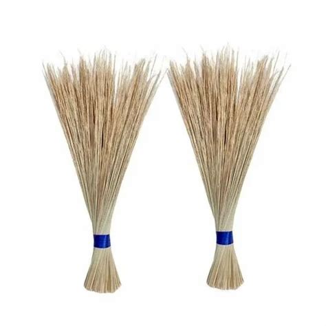 Coconut Broom Sticks At Rs 50 Piece Nariyal Jhadu In Usgao ID