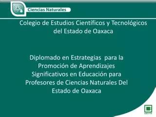 PPT Colegio De Estudios Cient Ficos Y Tecnol Gicos Del Estado De