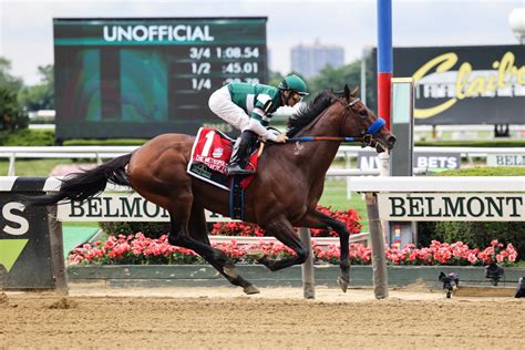 Flightline’s legend takes national stage at 2022 Breeders’ Cup - Sports ...