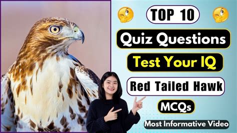 Dive Into The World Of Red Tailed Hawks With These Quiz Challenges