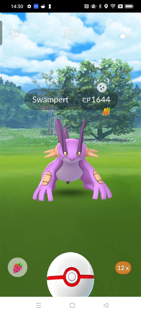 Pokemon Swampert Shiny