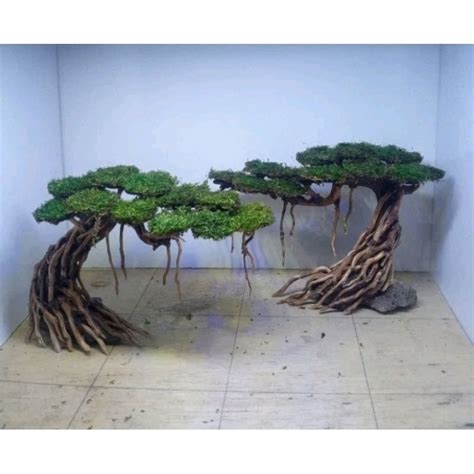 Jual Bonsai Aquascape Aquarium Akar Kayu Rasamala Miring Sepasang