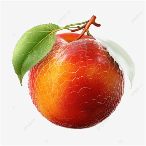 Fruit Red Nectarine Peach Branch Fruit Nectarine Peach Branches Png