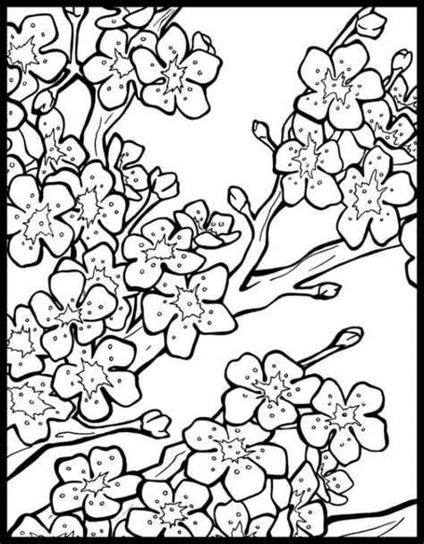 Dibujo De Árbol De Flor De Cerezo Para Colorear Imprimir E Dibujar Coloringonlycom