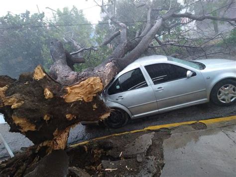 Equipos De Emergencia Atienden Afectaciones Por Intensa Lluvia En La