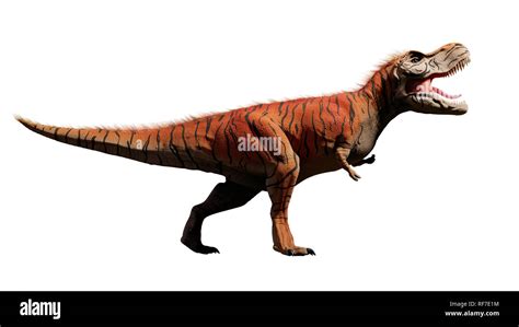 Tyrannosaurus Rex T Rex Dinosaurio Del Per Odo Jur Sico D Rendering