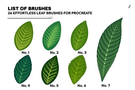 Leaf Brushes Procreate 26 Effortless Leaf Brushes For Procreate