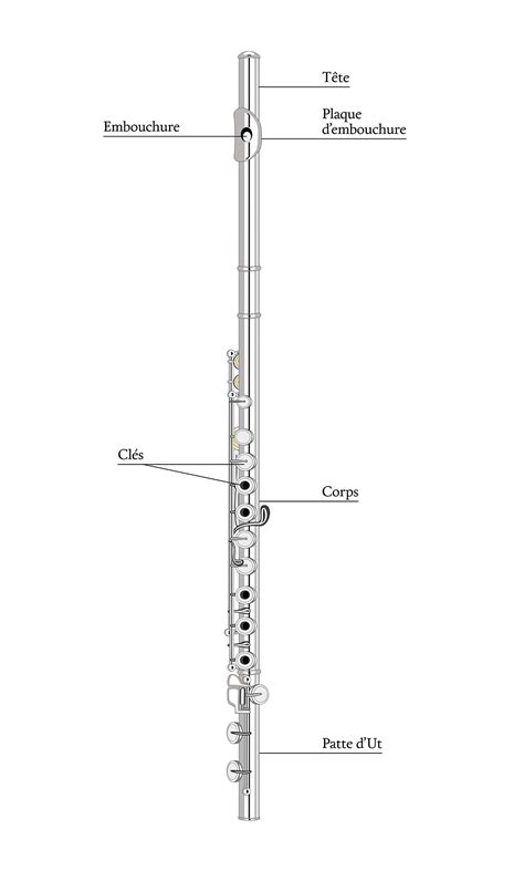 La flûte traversière