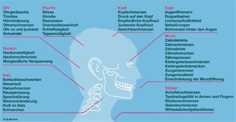 Craniomandibuläre Dysfunktion CMD Zahnärztin Dr Morlok Zahnärztin Dr